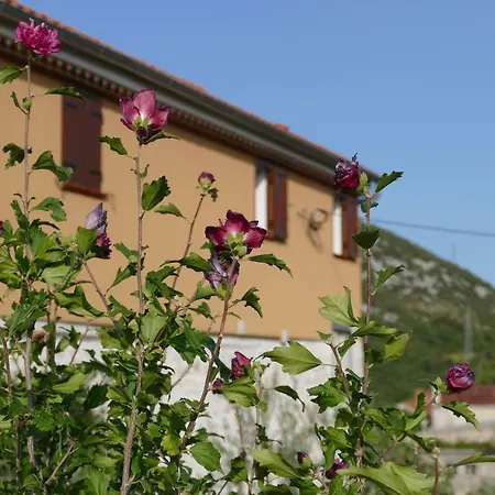 Apartment Summer Residence Illyria