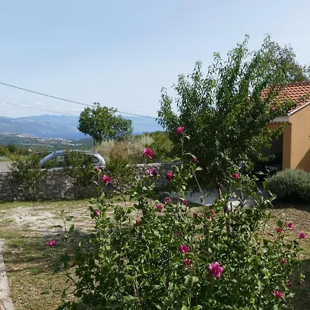 Apartment Summer Residence Illyria